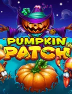 Pumpkin Patch slot game