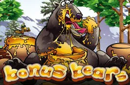 Bonus Bear slot game