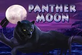 Panther Moon slot game