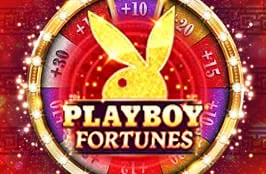 Playboy Slot Game by Microgaming